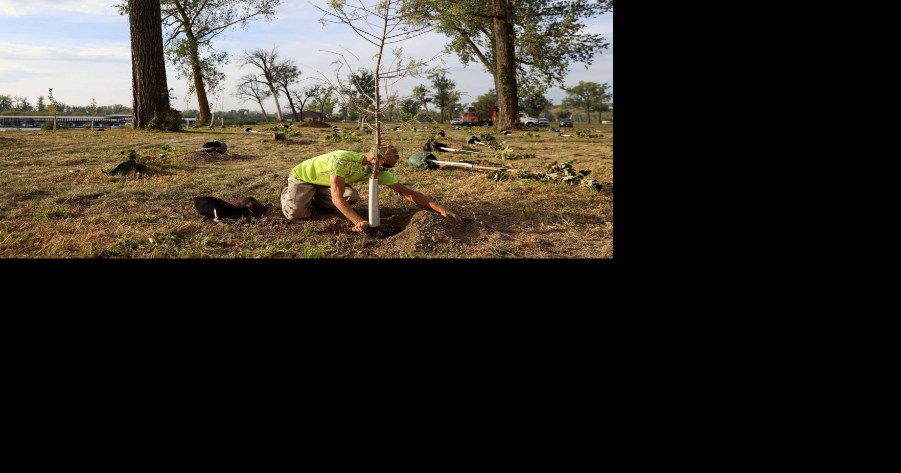 Photos Volunteers plant trees in N.P. Dodge Park to honor Nebraskan