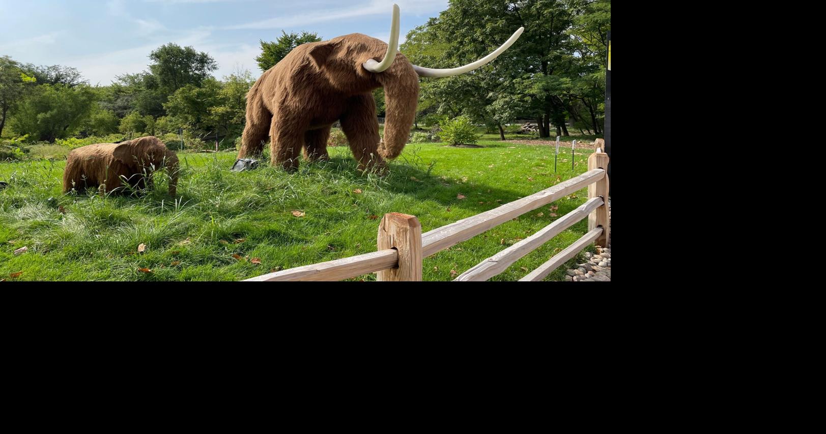 Short Takes: Simmons Wildlife Safari Park in Ashland to debut Ice Age-themed exhibit