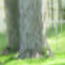 Demand Is Growing For At Home Pet Euthanasia In Omaha Lifestyles Omaha Com