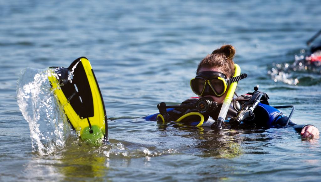 Where When And How To Book A Midwestern Scuba Getaway