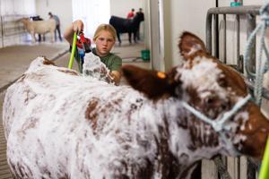 090126-owh-new-statefair-nf-09