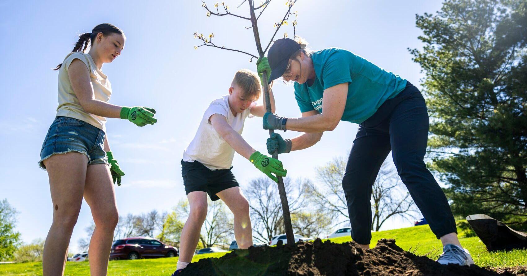 Nebraska-based Arbor Day Foundation celebrates another year of planting trees - Vimarsana News