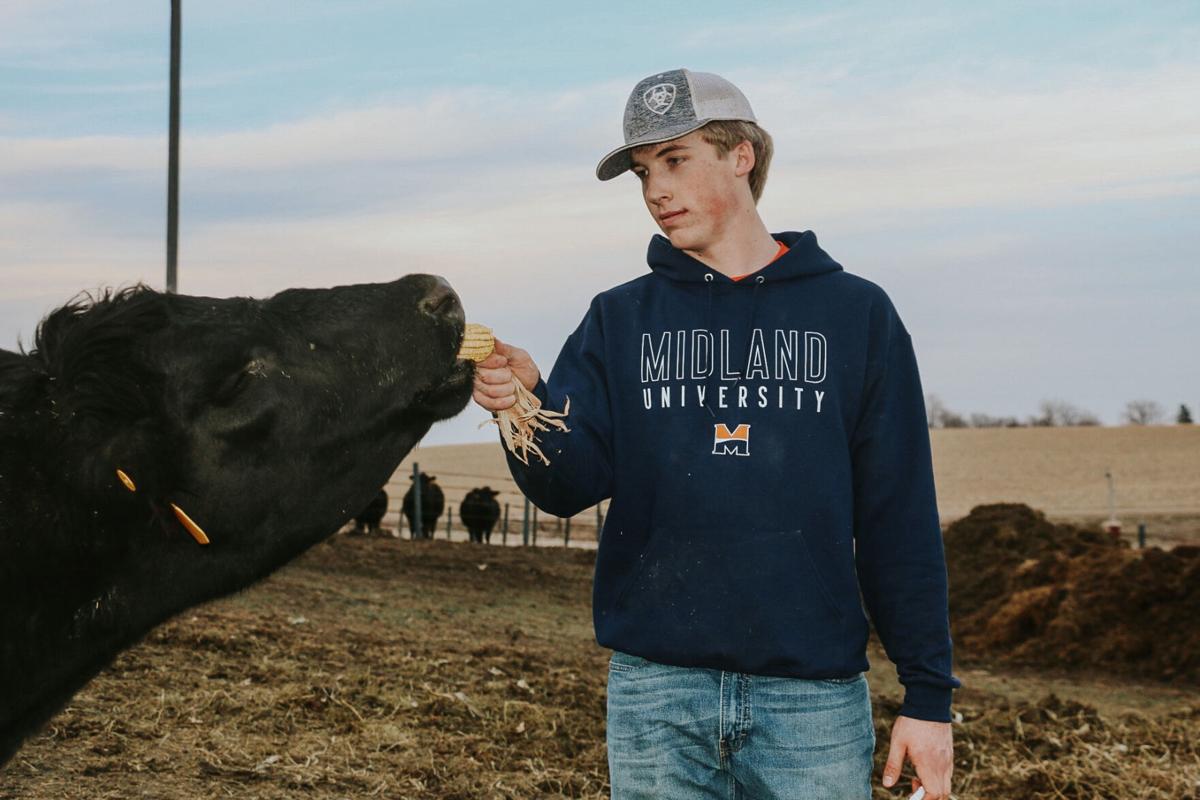 Agbizcow.JPG