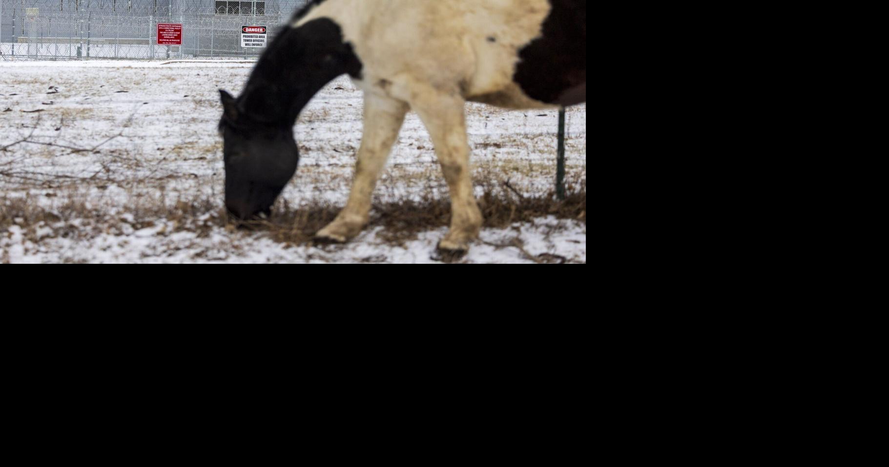 Fear at the fence line: Neighbors speak out on Lincoln prison