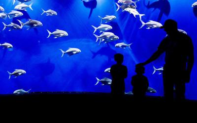 Omaha Zoo Ranked No 2 In The Country According To Usa Today