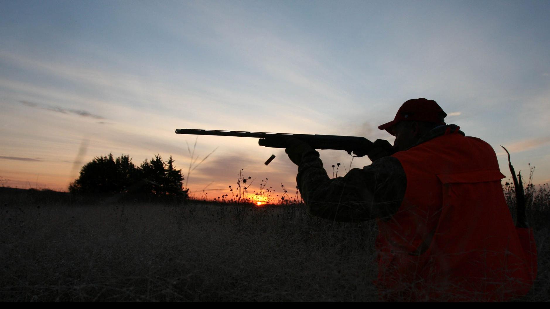 Amid Nebraska Pheasant Season Game And Parks Studies Whether To