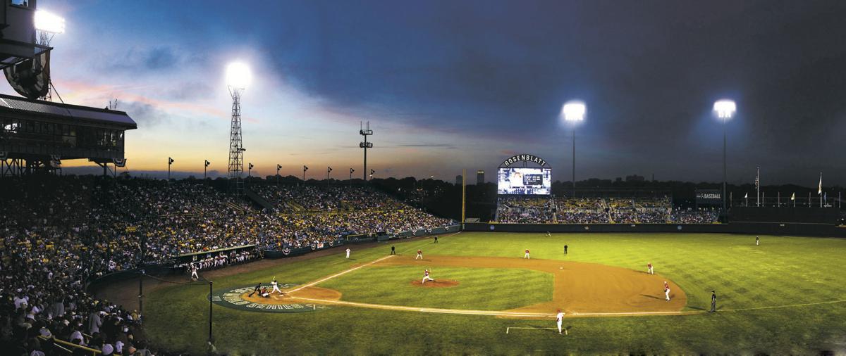 Rosenblatt panoramic