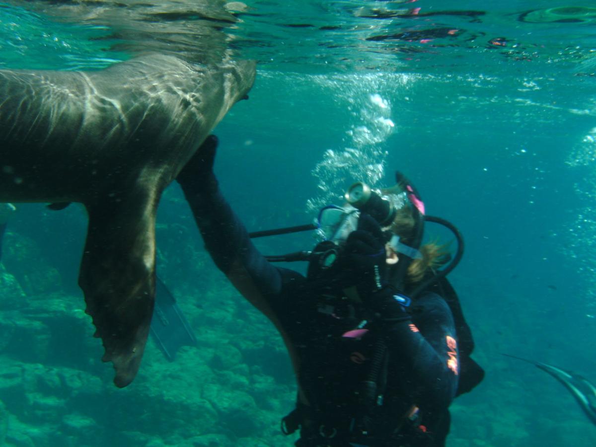 In This Family To Come Of Age You Must First Earn Scuba