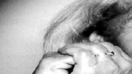 Kimmel Kathrun N Obits Omaha Com