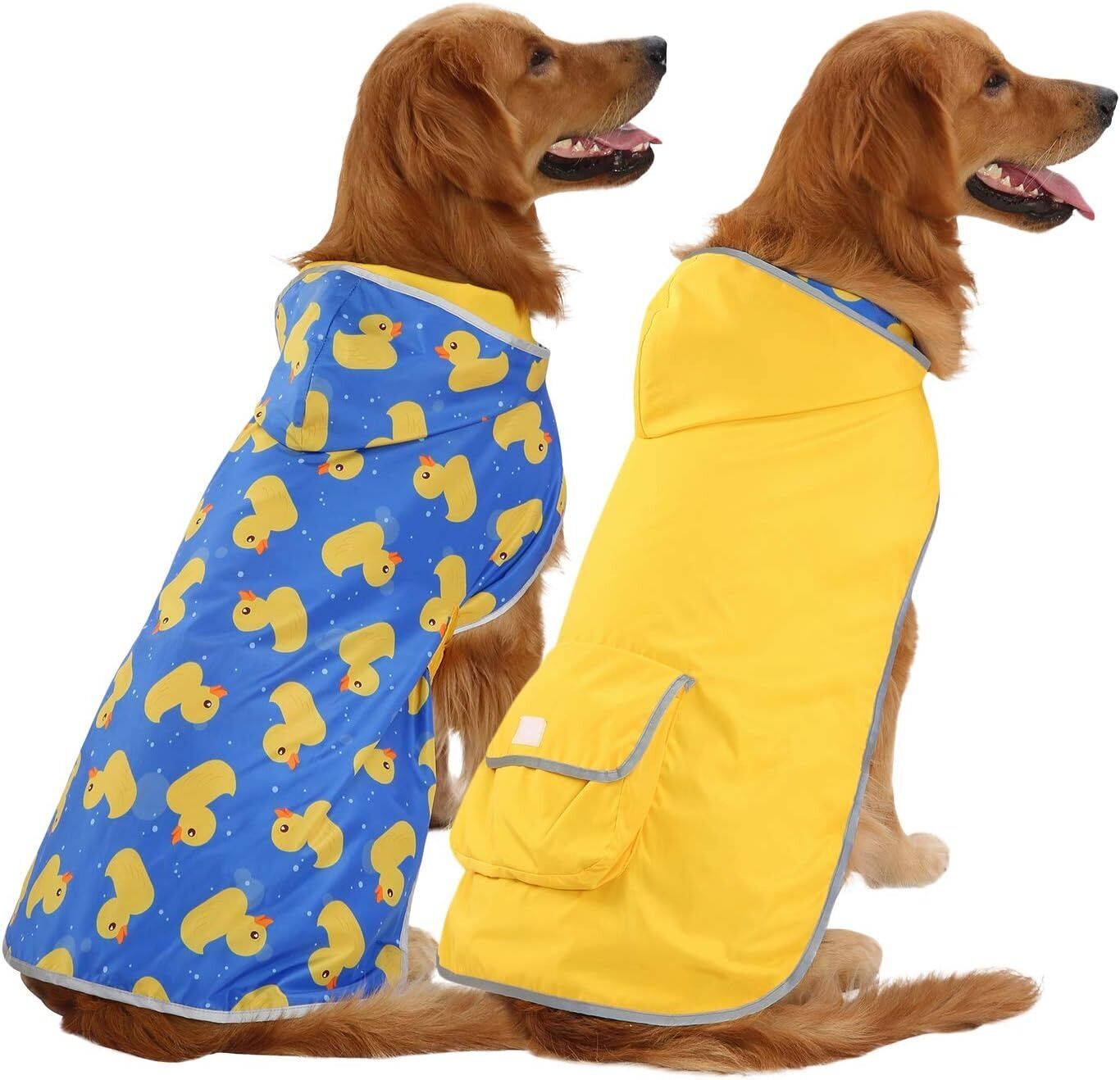 Golden retriever outlet in raincoat