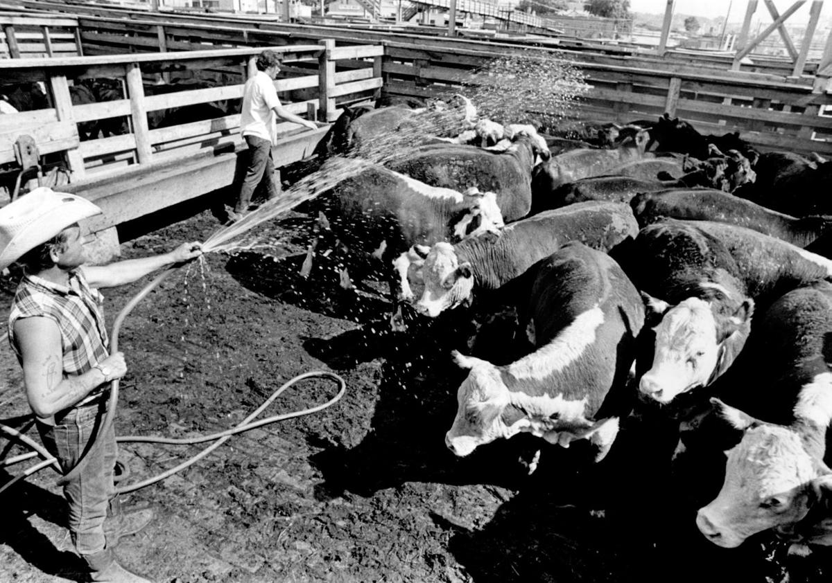 Photos Omaha Stockyards through the years Archives