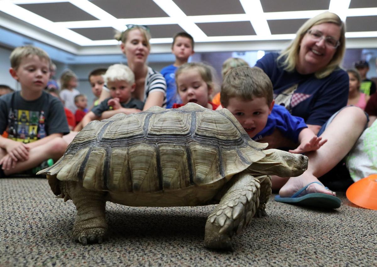 Learn about bees, meet wild animals, see a magician and 15+ other fun