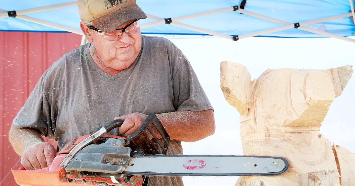 Man uses chainsaw to transform logs into works of art at Nebraska State