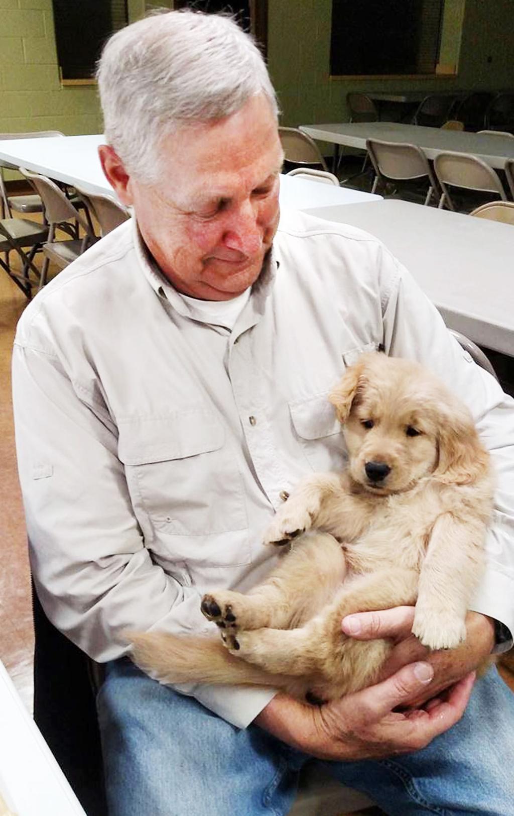 Nebraska Group Awaits Gaggle Of Golden Retriever Puppies To Train As Comfort Dogs Live Well Nebraska Omaha Com