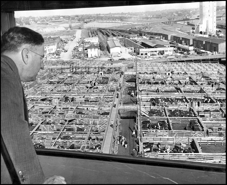 Photos Omaha Stockyards through the years Archives