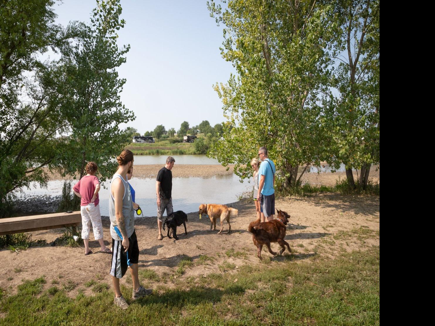 Everything You Need To Know About Licensing Your Pet Walking Them And Keeping Them Safe Metro Guide Omaha Com