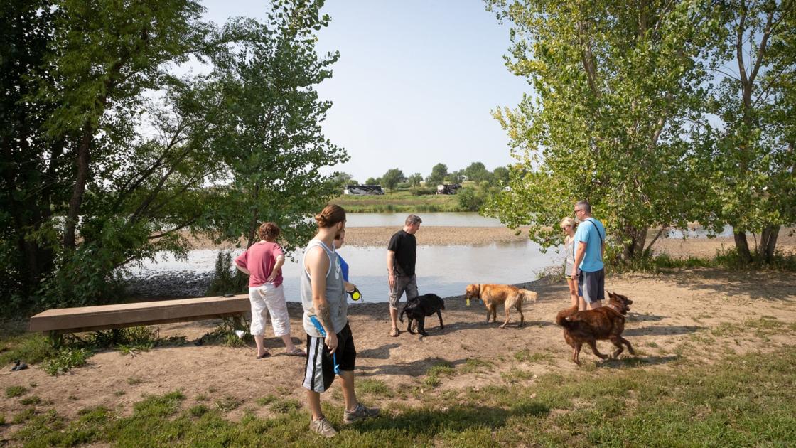 Everything You Need To Know About Licensing Your Pet Walking Them