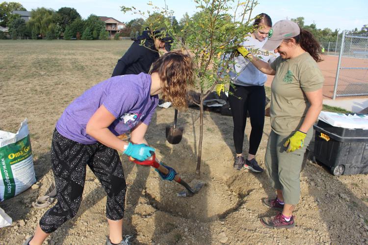 Gretna Arbor Society Tree Planting