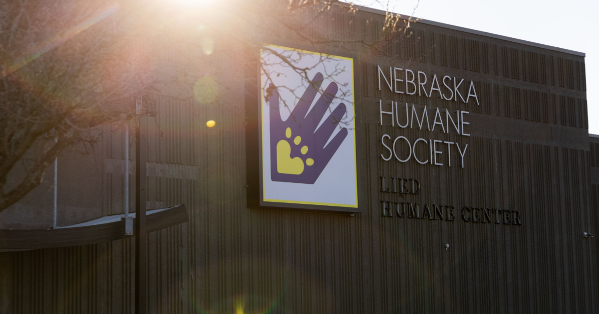 'Sad, angry and disgusted': Dog found in Omaha dumpster dies