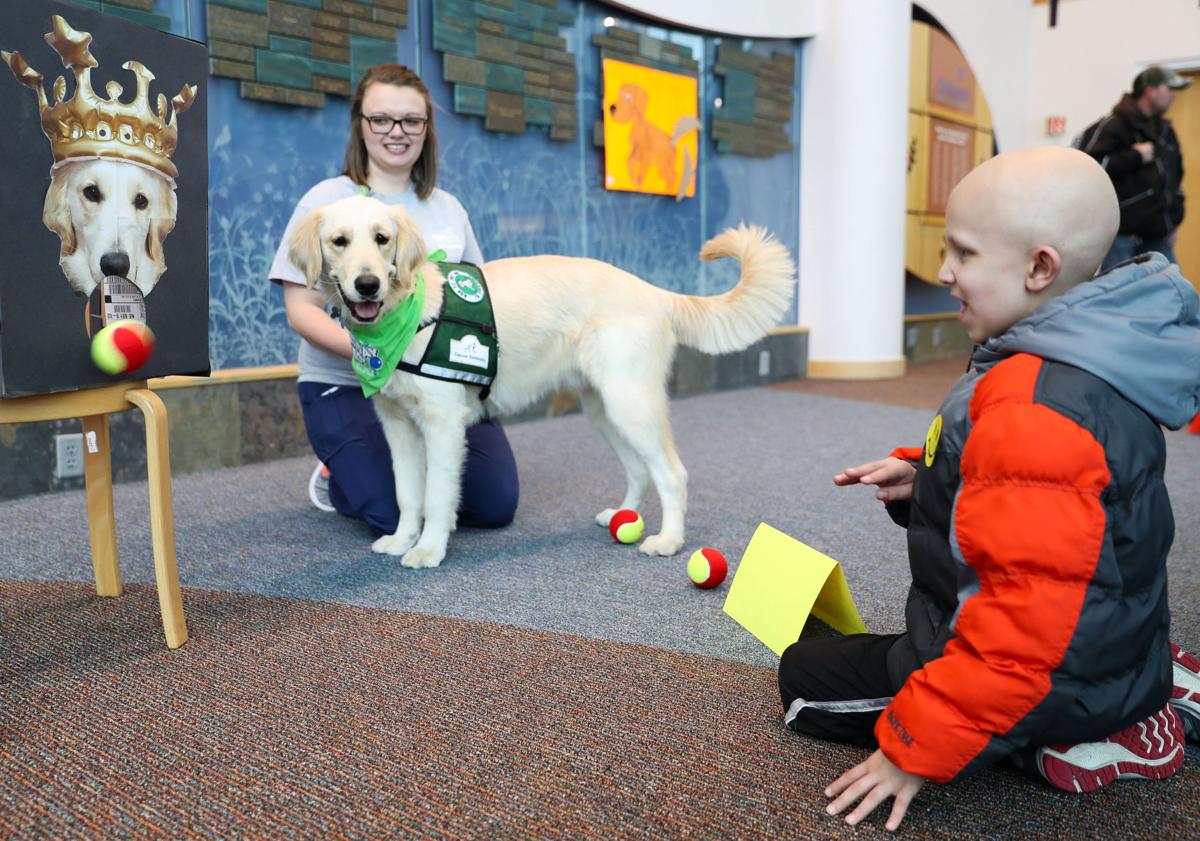 Sven The First Facility Dog Employed At A Metro Area
