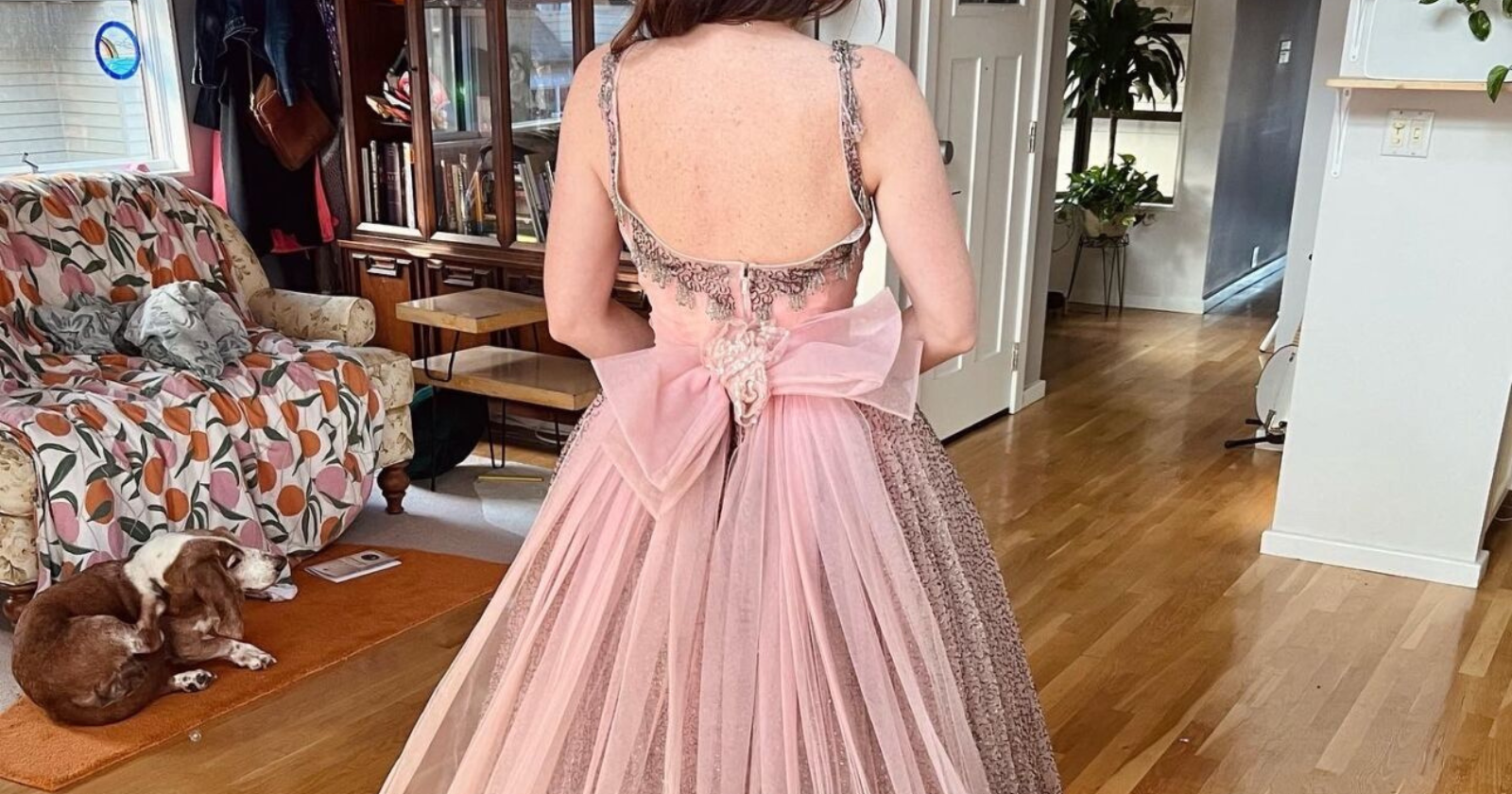 Aksarben ball gown found at estate sale finds home at Omaha's Durham Museum - Vimarsana News
