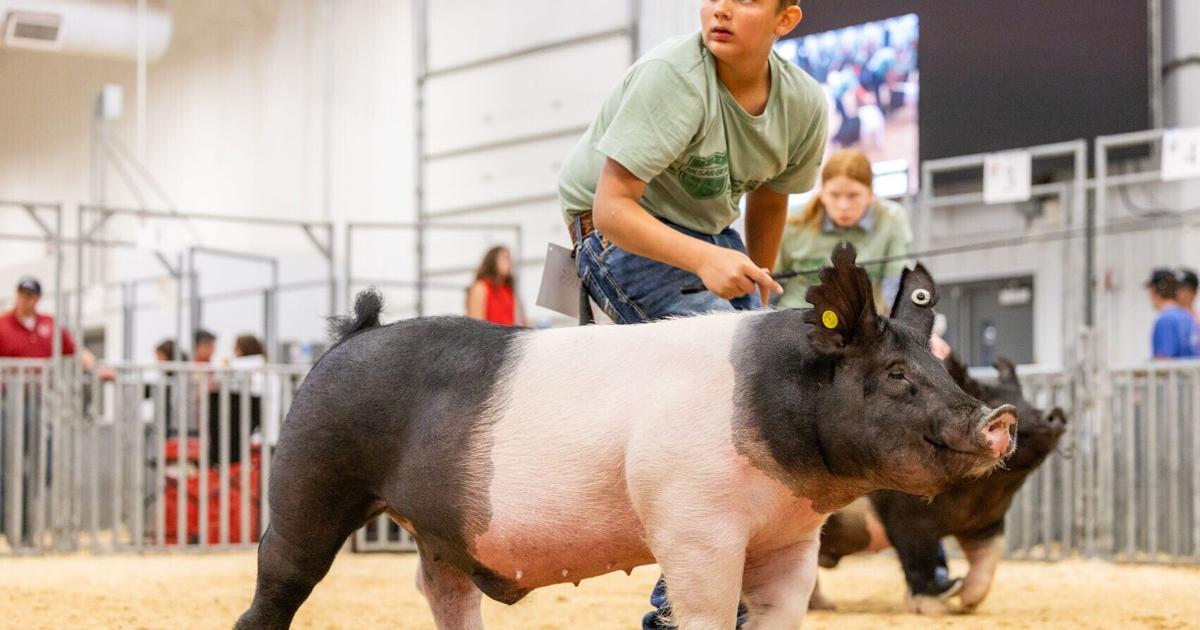Aksarben Stock Show to bring 1,800 exhibitors, feed Grand Island economy