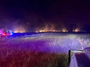 Log Road Fire grows to more than 1,000 acres