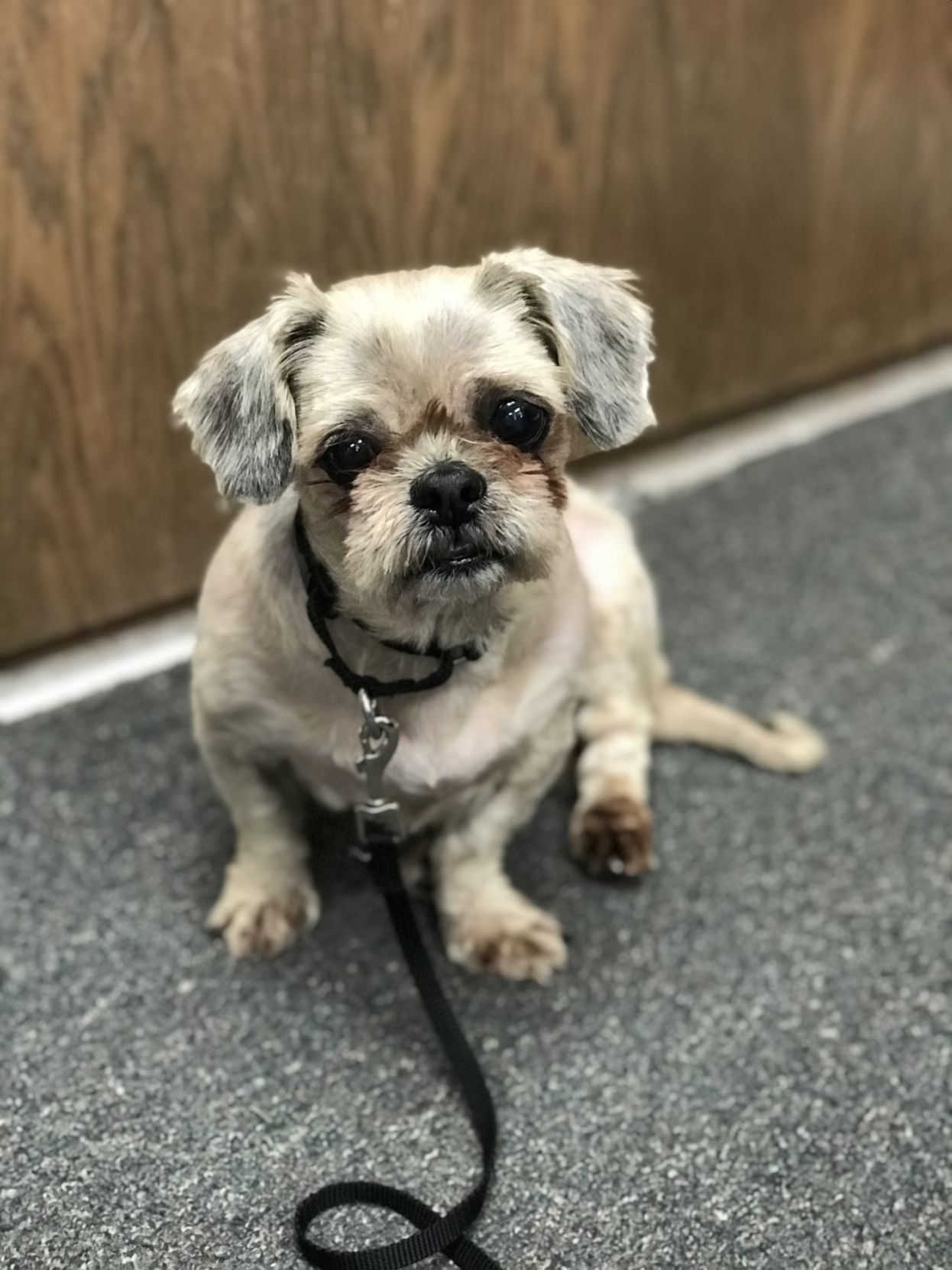 humane society near ne