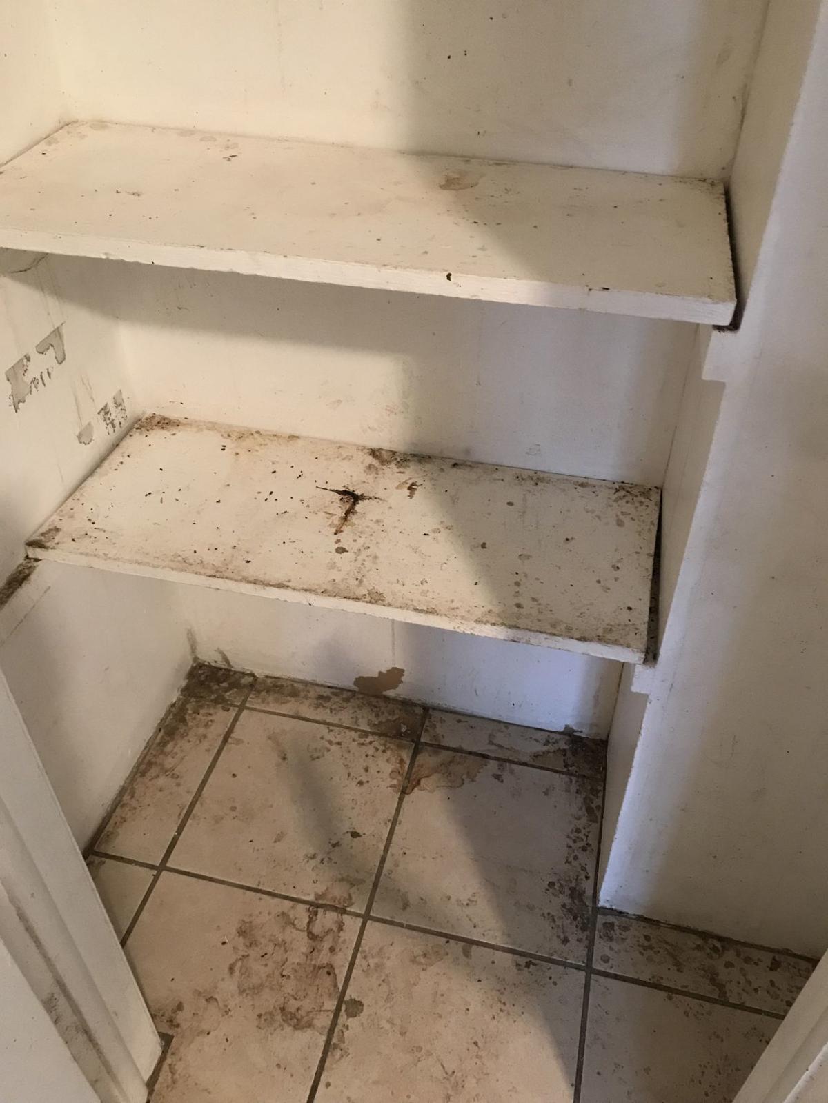 Photos Inside A Dave Paladino Owned Apartment Complex On Northwest Radial Highway Omaha Com