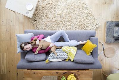 How To Pick The Perfect Sofa Design Décor Omaha How To Pick The Perfect Sofa