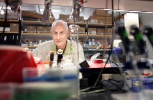 Unregulated use of peptides raises alarm among researchers