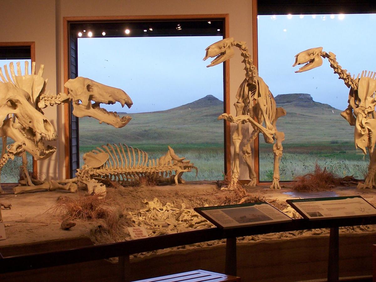 fossil museum near me