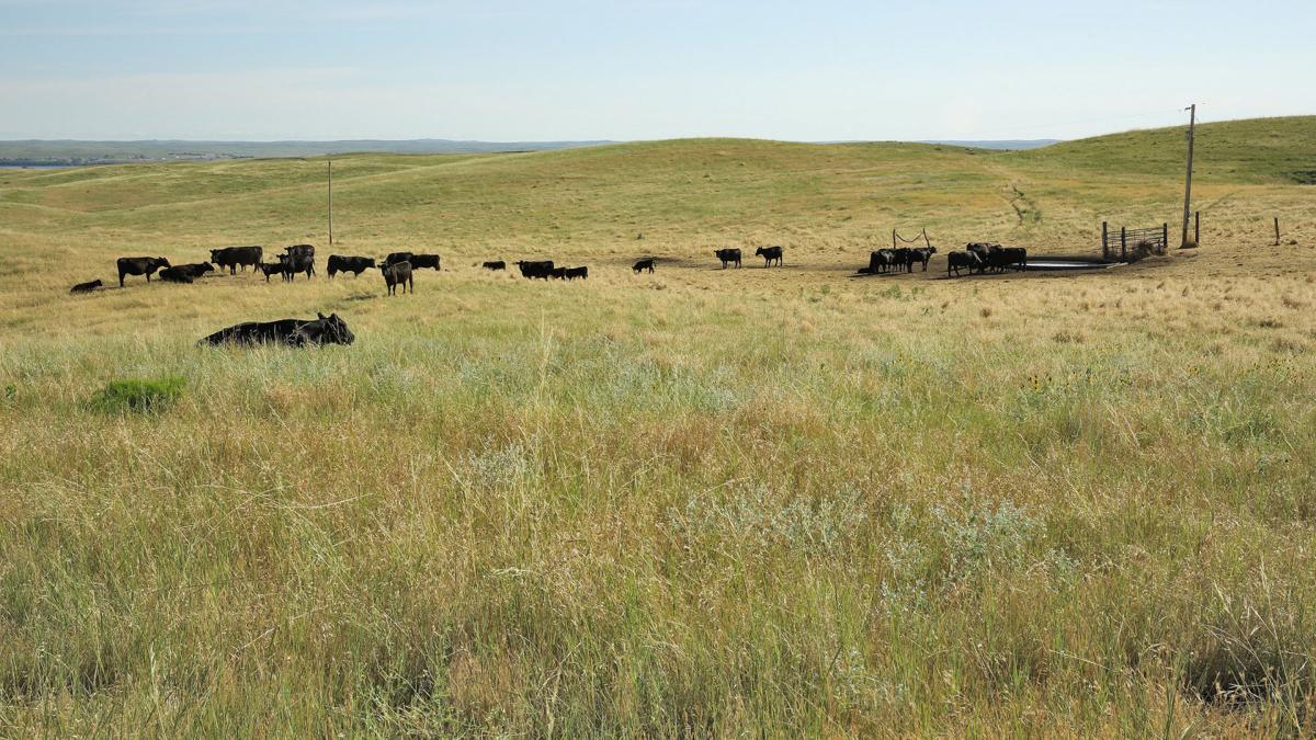 Nebraska Farmland Overlooking Lake Mcconaughy Draws 37