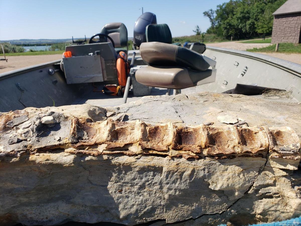 Omaha fisherman snags 90 million-year-old fossil