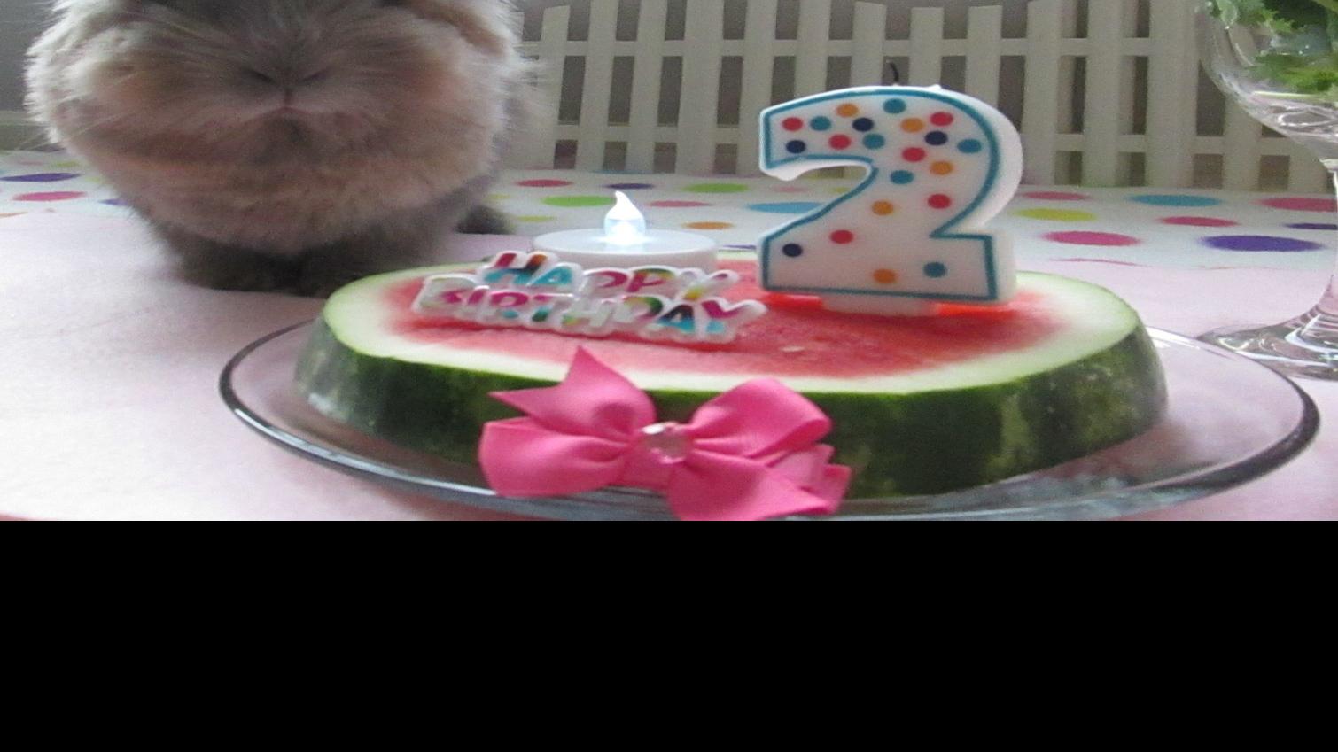 Why A Bunny Rules The House Of This Omaha Family Inspired Living Omaha Com
