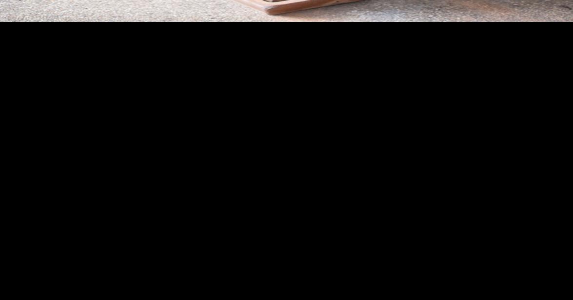 Best indoor plants for fall and winter