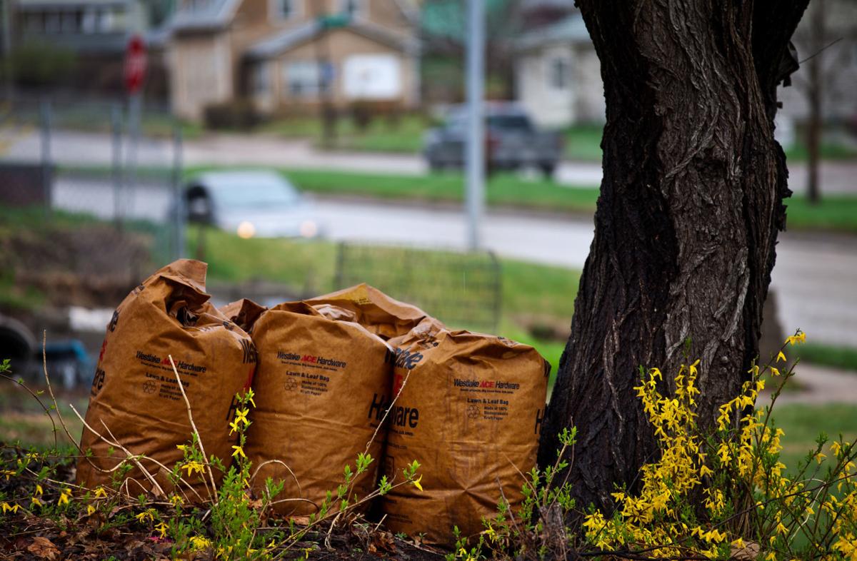 Omaha Fines Waste Management Another 78 000 For Not Picking Up Yard Waste Separately In July Local News Omaha Com