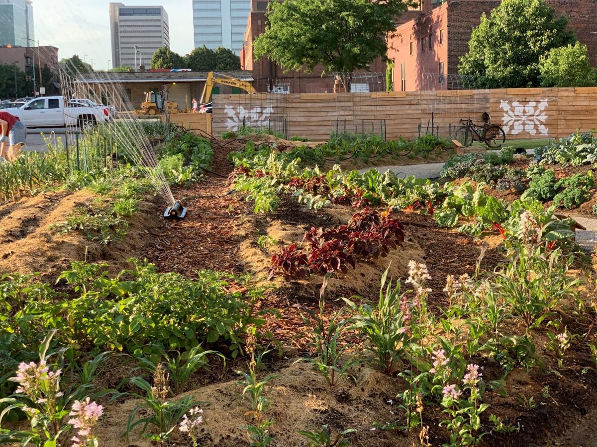 Old Market pop-up garden