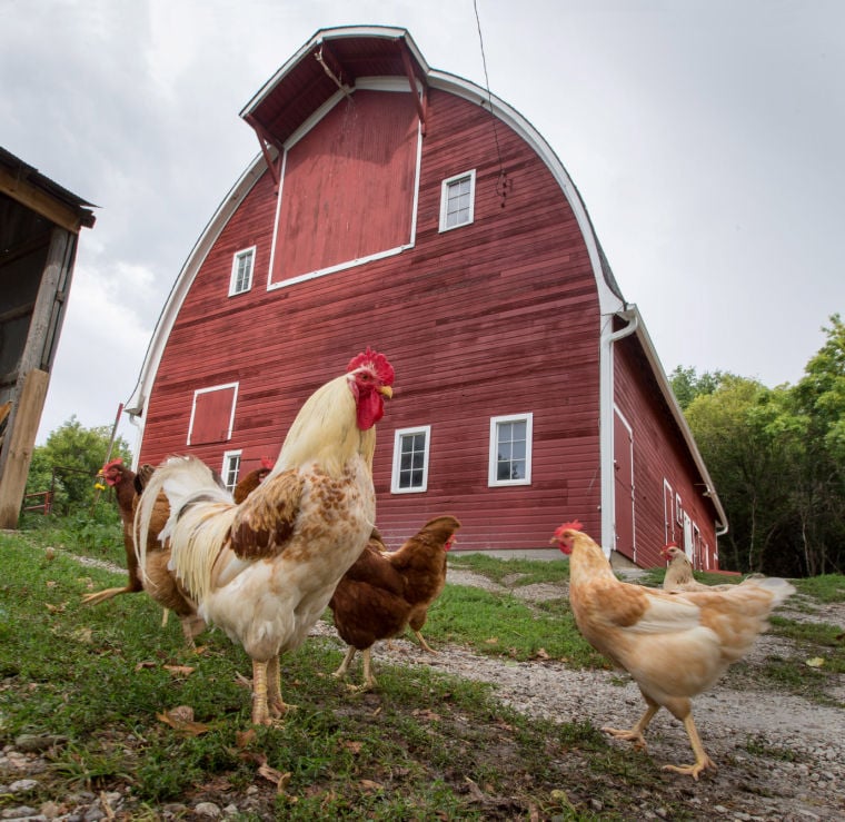 Grand old Iowa barn is standing tall, will be featured on annual tour