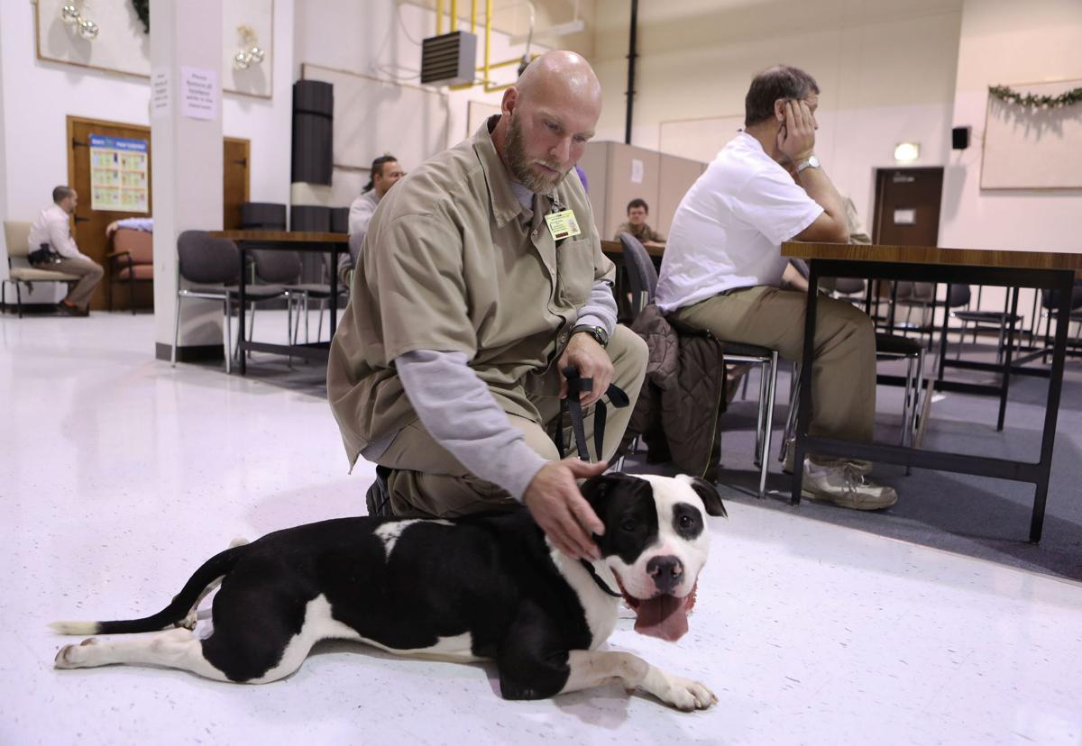 Hansen: Pups bring smiles and tail wags to Omaha prison | Archives ...