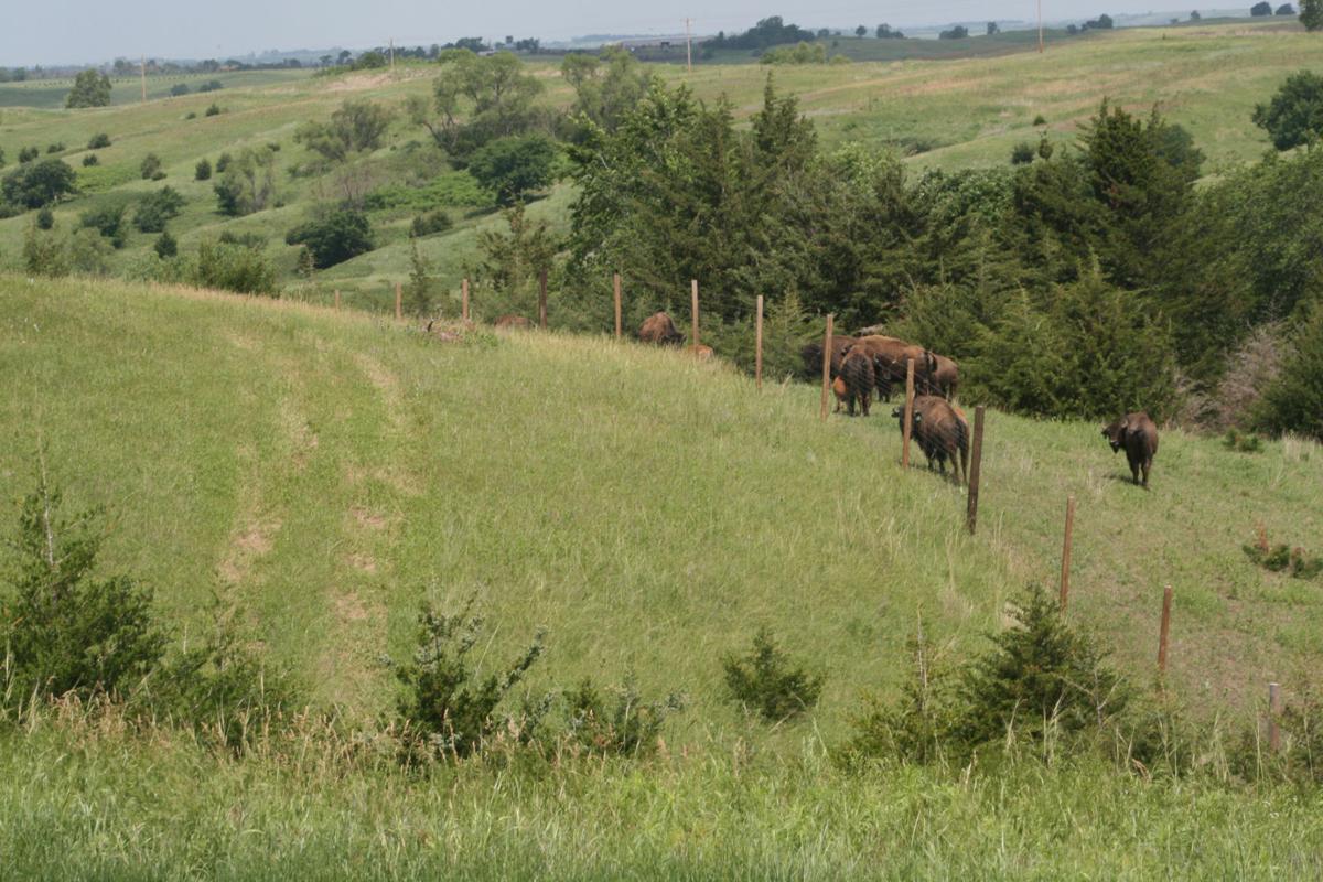 Golf Course Being Built By Santee Sioux Nation Offers Beautiful Views And Folklore Local Sports Omaha Com Tatanka golf club ei tegutse valdkondades golfivaeljakud. omaha world herald