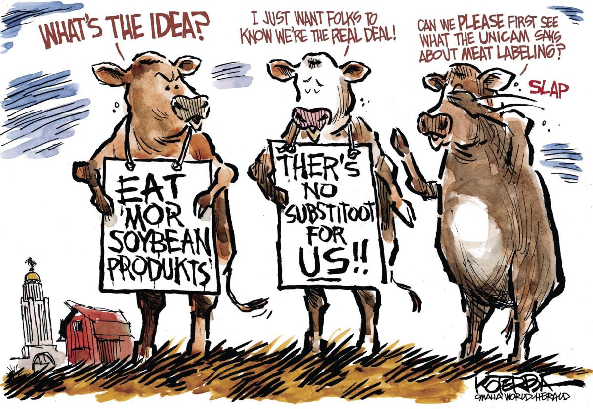 Jeff Koterba's latest cartoon: Cow preservation vs. cow pride
