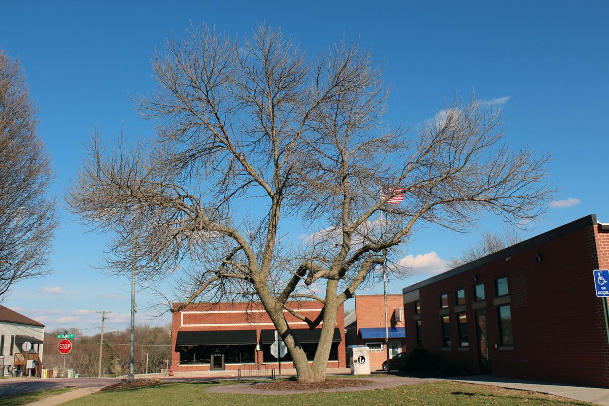 20201230_gb_tree