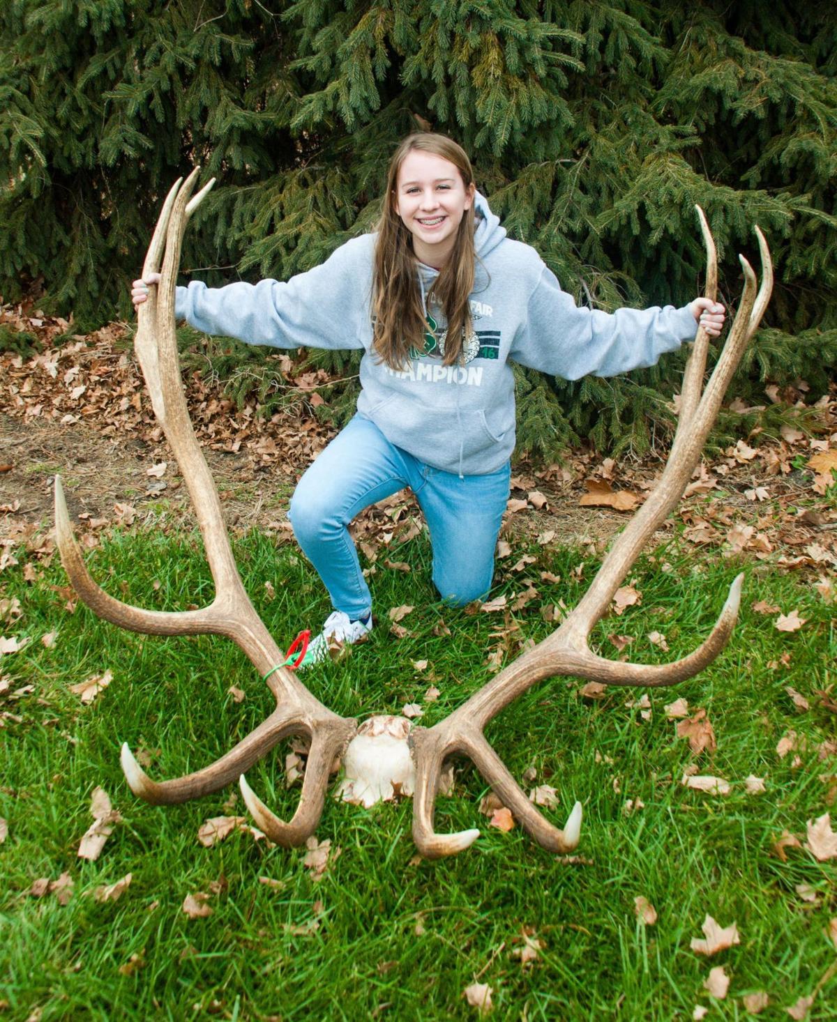Eighth-grader's monster bull elk officially declared a state record ...
