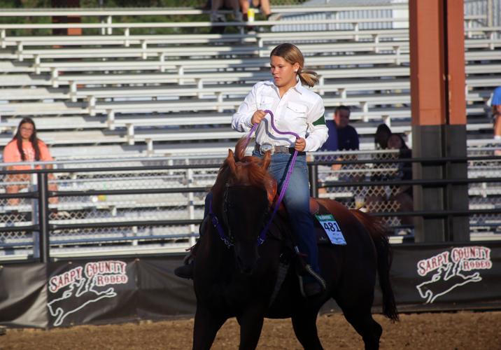 080724-sni-news-4h-horse-11.jpg