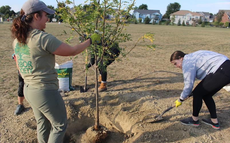Gretna Arbor Society Tree Planting