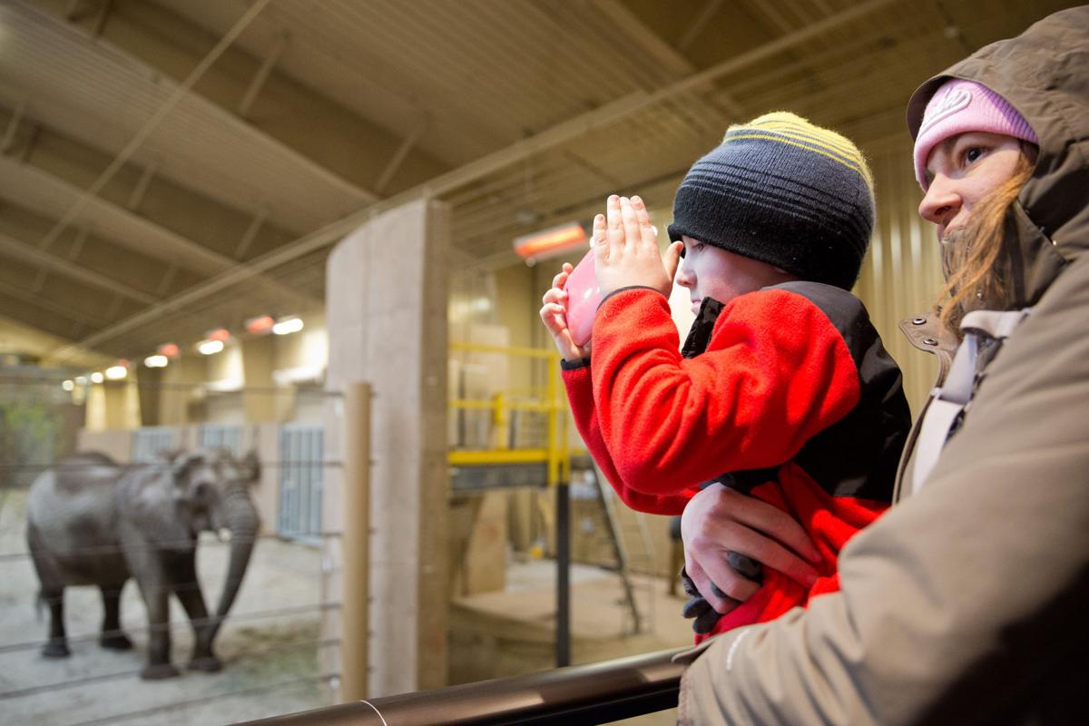 Photos: The Henry Doorly Zoo through the years | Henry Doorly Zoo