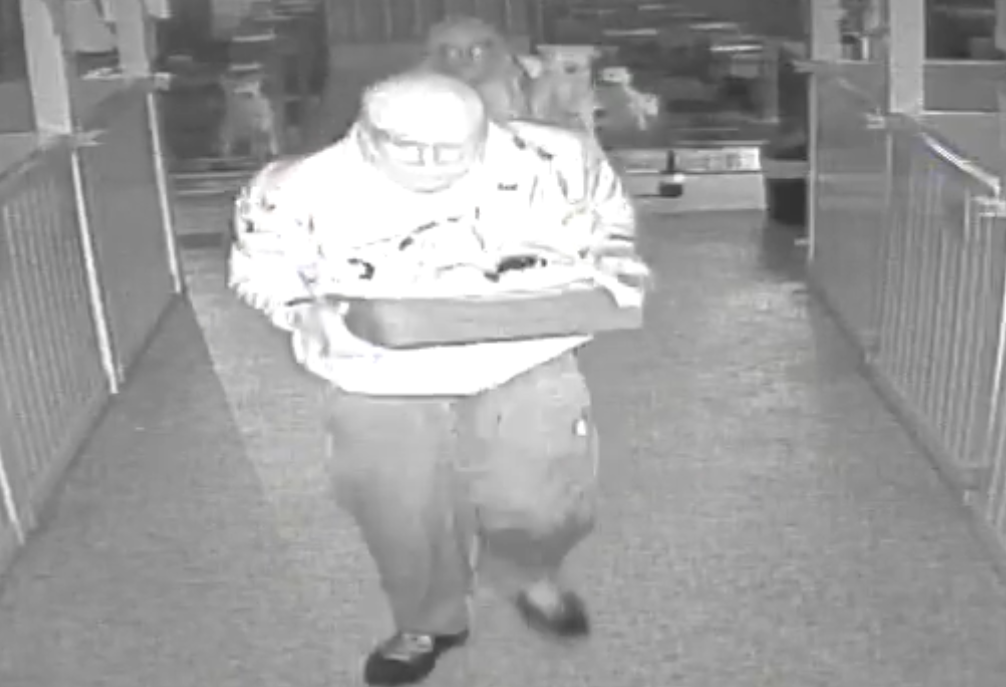 Theft of puppies caught on surveillance video; Omaha kennel owner hopes