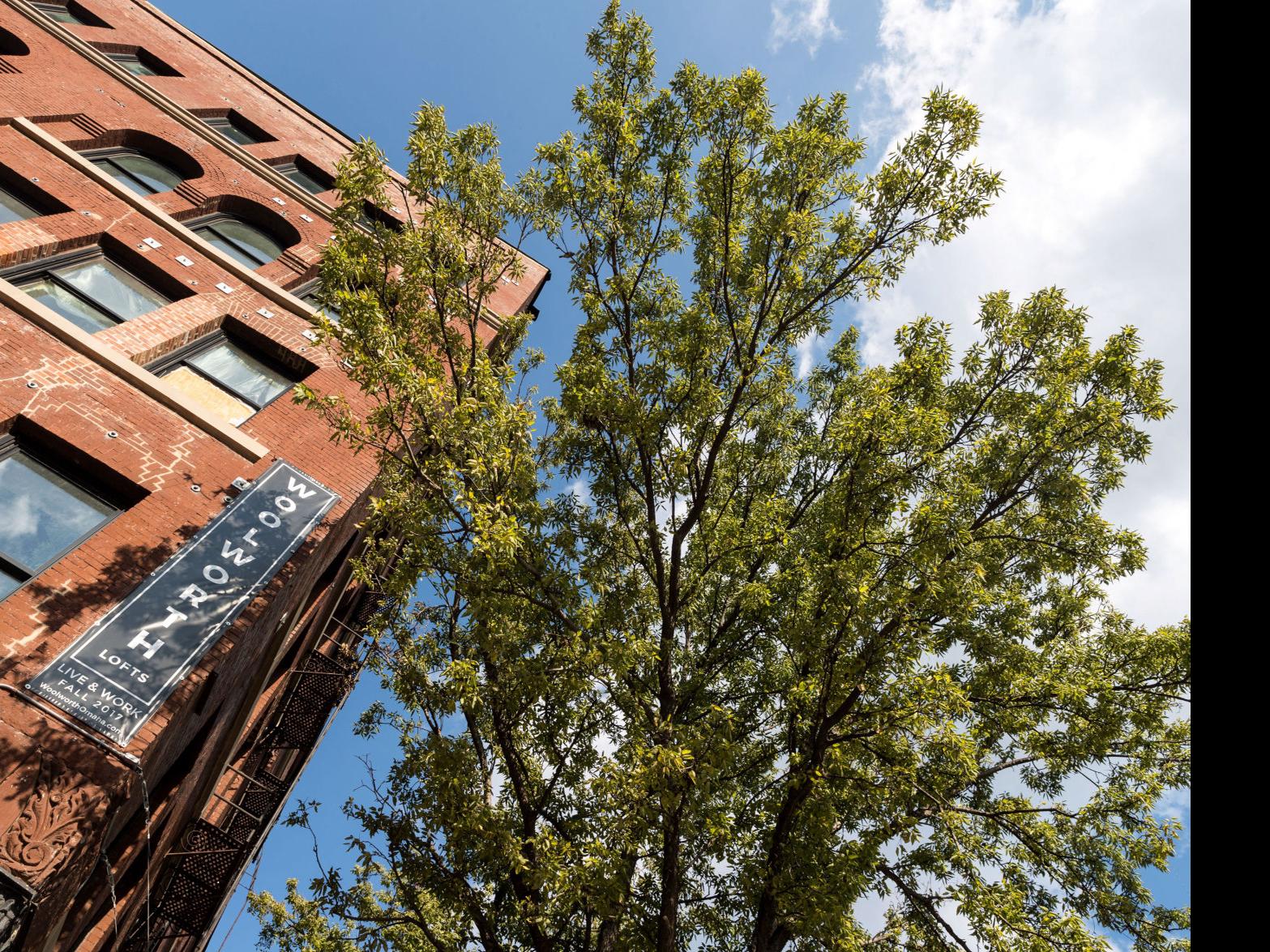 Renovated Woolworth Building Brings Loft Style Apartments Offices To Previously Vacant Top Floors Money Omaha Com
