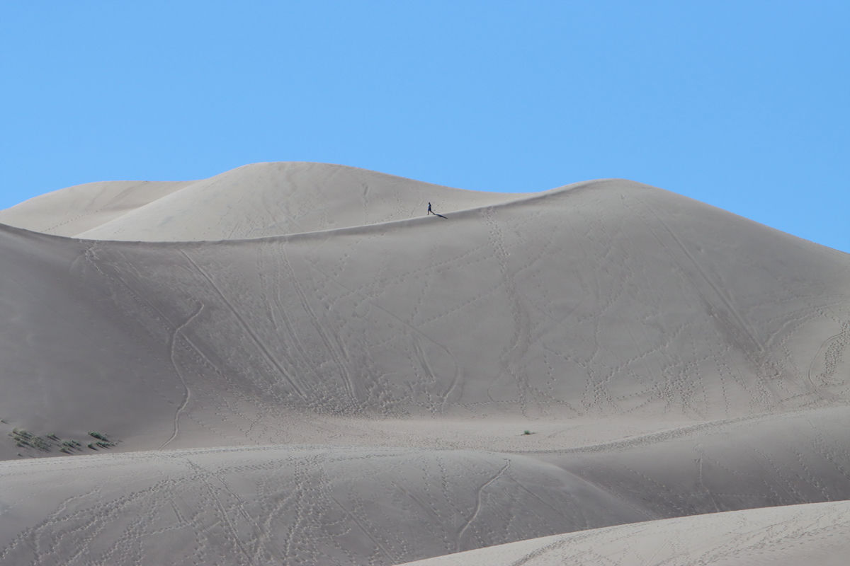 Great Sand Dunes National Park: Our random side trip leads to a